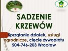 Sadzenie roślin, drzew, krzewów cennik tel 504-746-203, Wrocław, ogrodnik