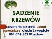 Sadzenie roślin, drzew, krzewów cennik tel 504-746-203, Wrocław, ogrodnik