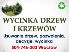 Wycięcie drzewa, cena tel 504-46-203, Wrocław, Usuwanie drzew, wywóz