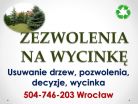 Wycinka drzew, tel 504-746-203, pozwolenie na wycięcie drzewa, Wrocław, cena