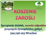 Koszenie działki, tel 504-746-203, przycięcie żywopłotu, tui, ogrodnik, cena