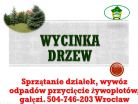 Wycinka drzewa, tel 504-746-203, wycinanie drzew, gałęzi, cena