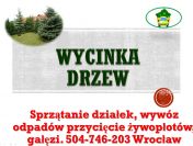 Wycinka drzewa, tel 504-746-203, wycinanie drzew, gałęzi, cena