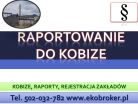 Raportowanie do Kobize, cena tel, 502-032-782, wykonanie zgłoszenia, 2017,2018