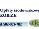 Obliczanie opłat środowiskowych, tel. 502-032-782.Raport do Kobize, cena