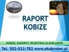 Jak wypełnić Raport do Kobize, do kiedy i jak złożyć raport do bazy emisji