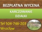 Karczowanie działki, cena, tel. 504-746-203, Wrocław. Koszenie zarośli
