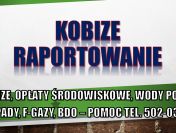 Wypełnienie raportu do Kobize, cena, tel. 504-746-203. Krok po kroku.